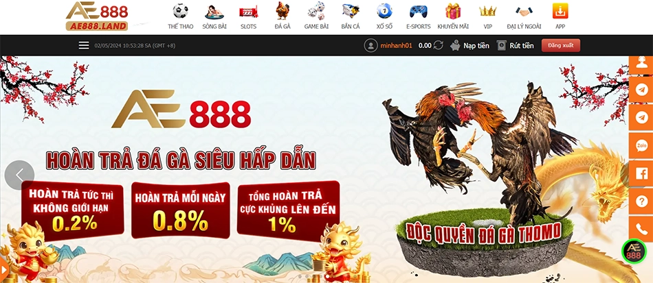 giới thiệu Tổng quan về nhà cái AE888 