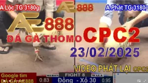 Trực tiếp Đá Gà Thomo CPC1 ngày 23/2/2025