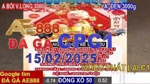 Video Xem lại Đá Gà Thomo CPC1 Hôm Nay 15/2/2025