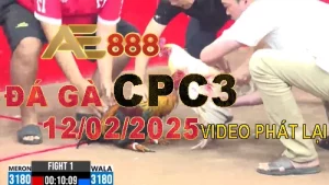 Video Xem lại Đá Gà Thomo CPC3 Hôm Nay 12/2/2025