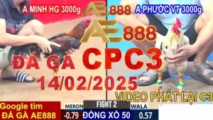 Video Xem lại Đá Gà Thomo CPC3 Hôm Nay 14/2/2025