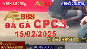 Video Xem lại Đá Gà Thomo CPC3 Hôm Nay 15/2/2025