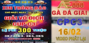 VIDEO GÀ THOMO ĐÁ GIẢI VÔ ĐỊCH CÚP C3 16-2-2025
