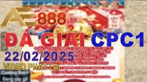 Tất Cả Video ĐÁ GIẢI Thomo C1 Ngày 22/2/2025