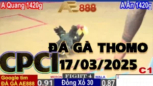 [CPC1] Video Phát Lại Đá Gà C1 tại Thomo 17/03/2025
