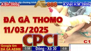 Đá Gà Thomo CPC1 Ngày 11/03/2025