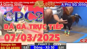 Xem lại đá gà trực tiếp C2 ngày 7/3/2025