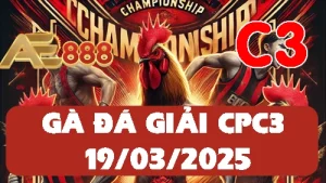 [GÀ ĐÁ GIẢI] Phát Lại Video Đá Gà Thomo C3 - 19/03/2025