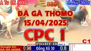 Phát Lại Đá Gà Trực Tiếp C1 Ngày 15-04-2025
