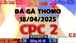 Clip Đá Gà Thomo CPC2 ngày 18/04/2025