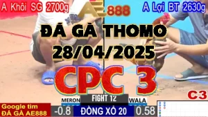 Xem lại Video Đá Gà Thomo C3 ngày 28/04/2025