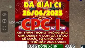 Phát Lại Video Đá Giải C1 Ngày 26/04/2025