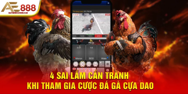 Bỏ Túi Kinh Nghiệm Đá Gà Cựa Dao Hay 6 4 sai lầm cần tránh khi tham gia cược đá gà cựa dao
