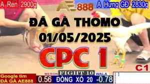 Clip Đá Gà Trực Tiếp CPC1 Ngày 01/05/2025