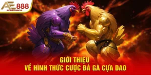 Giới thiệu về hình thức cược đá gà cựa dao