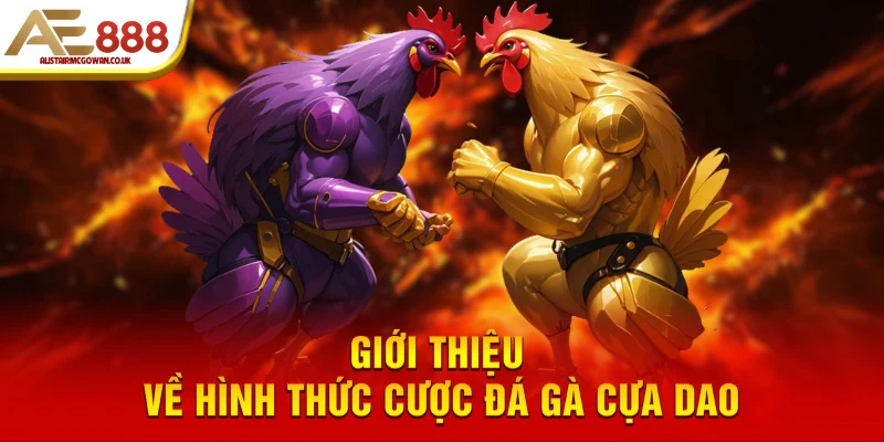 Bỏ Túi Kinh Nghiệm Đá Gà Cựa Dao Hay 4 Giới thiệu về hình thức cược đá gà cựa dao