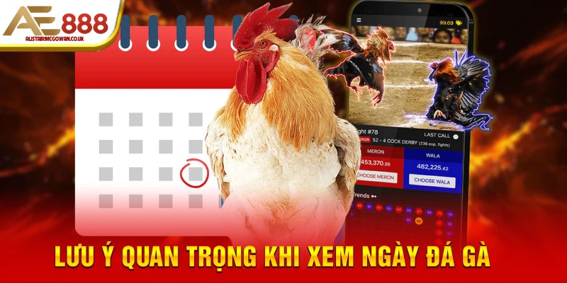 Lưu ý quan trọng khi xem ngày đá gà