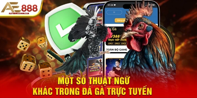 Các Thuật Ngữ Trong Đá Gà - Từ Điển Từ A-Z Cho Kê Thủ 4 Thuật ngữ khác trong đá gà trực tuyến