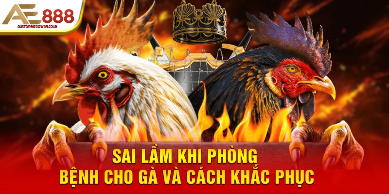 Tổng Hợp Phòng Bệnh Cho Gà Đá - Cách Cho Chiến Kê Khỏe Mạnh 6 Sai lầm khi phòng bệnh cho gà và cách khắc phục