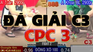 VIDEO PHÁT LẠI ĐÁ GIẢI TỰ DO C3 - 18/05/2025