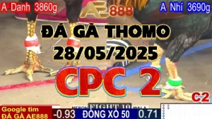 Full Video Đá Gà Thomo C2 Ngày 28/05/2025
