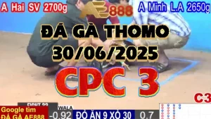 Video phát lại đá gà trực tiếp CPC3 ngày 30/06/2025
