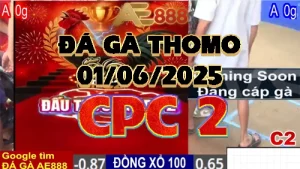 Video Đá Gà GIẢI TỰ DO 4 CON - 01/06/2025