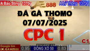 Video phát lại đá gà trực tiếp CPC1 ngày 07/07/2025