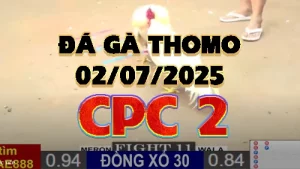 Video phát lại đá gà trực tiếp CPC2 ngày 02/07/2025
