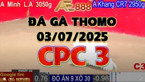 Video phát lại đá gà trực tiếp CPC3 ngày 03/07/2025