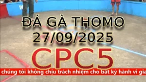 Video phát lại đá gà trực tiếp CPC5 ngày 27 /09/2025