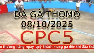 Video phát lại đá gà trực tiếp CPC5 ngày 08/10/2025