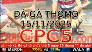 Video phát lại đá gà trực tiếp CPC5 ngày 15112025