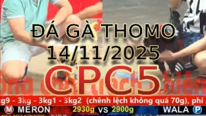 Video phát lại đá gà trực tiếp CPC5 ngày 14/11/2025