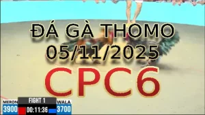 Video phát lại đá gà trực tiếp CPC6 ngày 05/11/2025