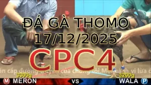 Video phát lại đá gà trực tiếp CPC4 ngày 17122025