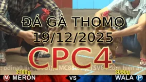 Video phát lại đá gà trực tiếp CPC4 ngày 19122025
