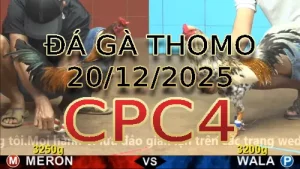 Video phát lại đá gà trực tiếp CPC4 ngày 20122025