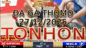 Video phát lại đá gà trực tiếp TONHON ngày 27122025