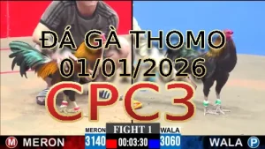 Video phát lại đá gà trực tiếp CPC3 ngày 01012026