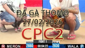 Video phát lại đá gà trực tiếp CPC2 ngày 27022026