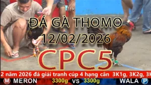 Video phát lại đá gà trực tiếp CPC5 ngày 12022026