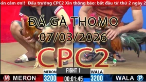 Video phát lại đá gà trực tiếp CPC2 ngày 07032026