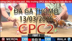 Video phát lại đá gà trực tiếp CPC2 ngày 13/03/2026