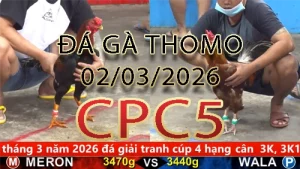 Video phát lại đá gà trực tiếp CPC5 ngày 02032026