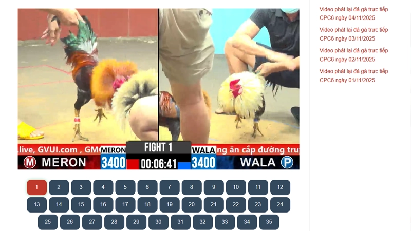 Làm Thế Nào Để Truy Cập & Xem Lại Video Bồ Gà CPC6 Tại AE888?